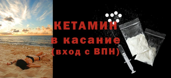 шишки Аркадак