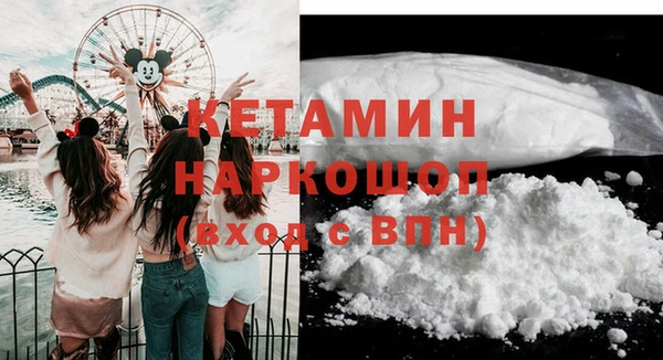 шишки Аркадак