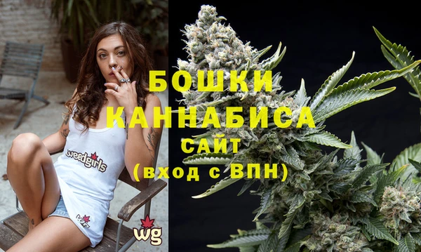 шишки Аркадак