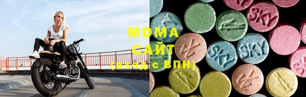 шишки Аркадак